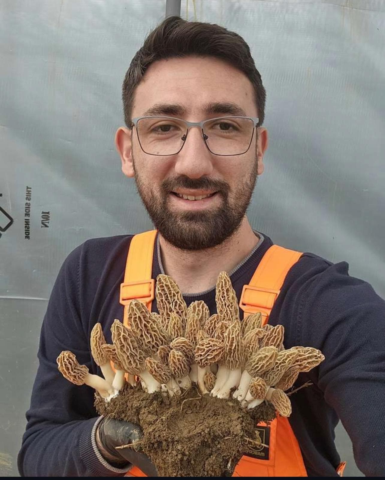 Kuzugobegifarm — Kültür Kuzu Göbeği Üretimi
