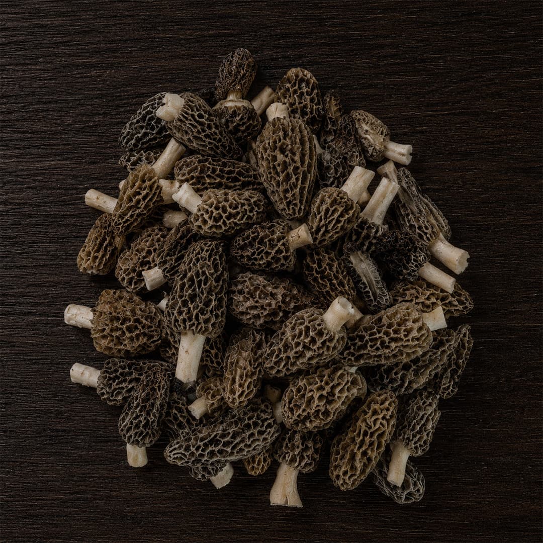 Kuzu Göbeği (Morel)