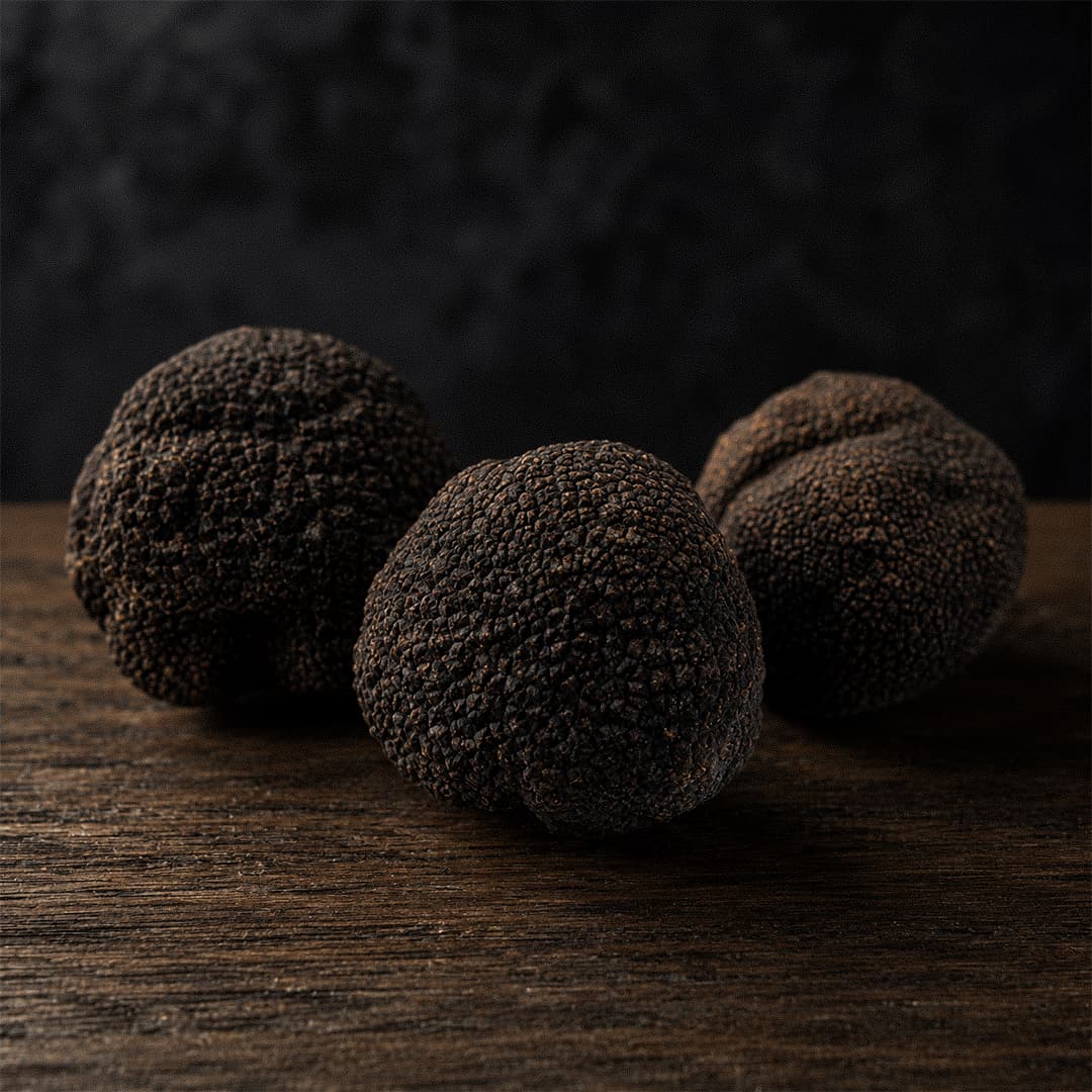 Tuber Melanosporum